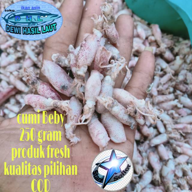 

Ikan asin cumi Bebi 250 gram