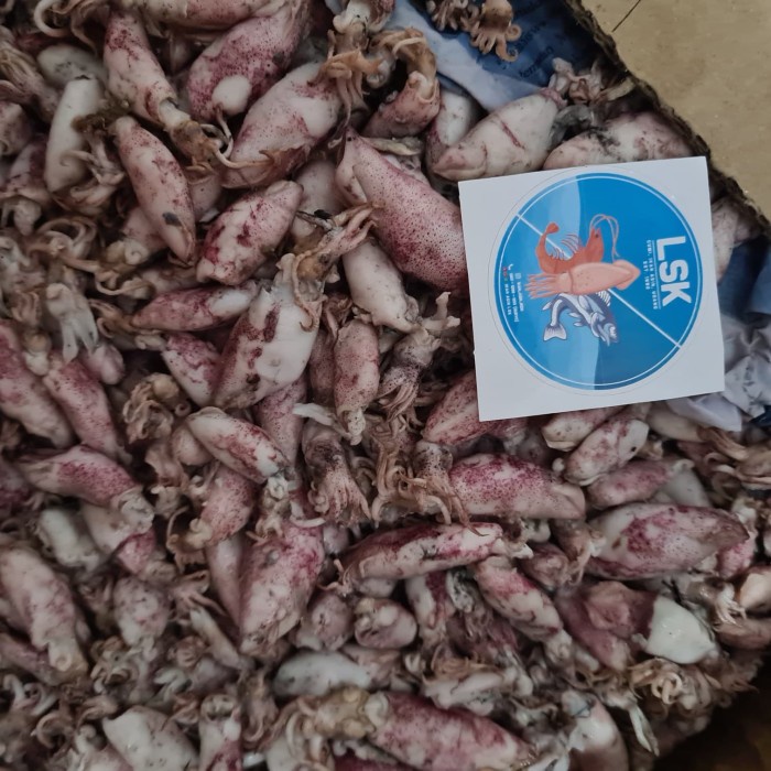 

Cumi telur asin / Cumi asin / sotong 500 Gram