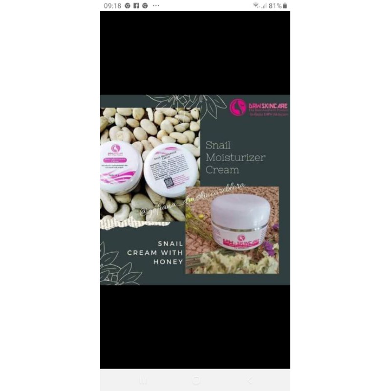 snail cream with honey dan snail moisturizer cream