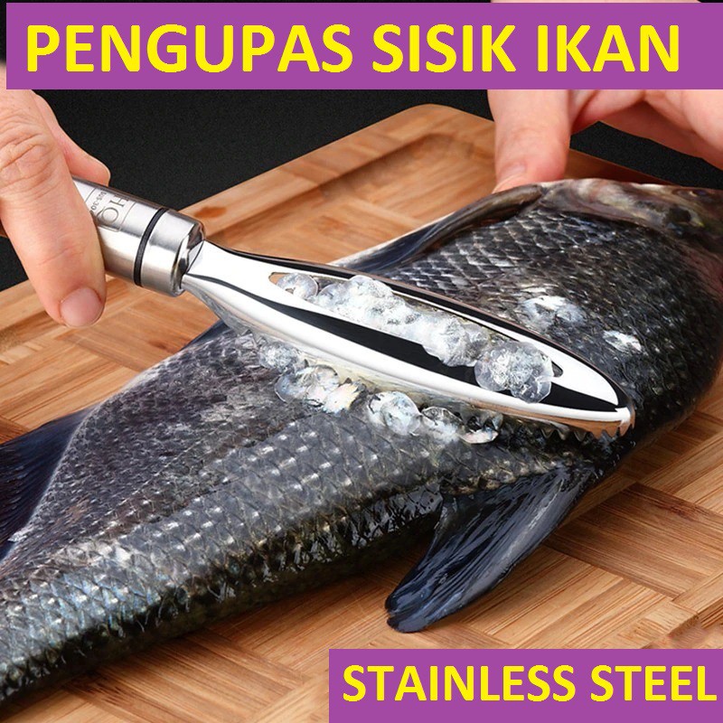 Pengupas Sisik Ikan Stainless Steel / Parutan Sisik Ikan / Peeler Sisik Ikan