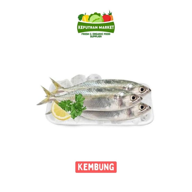 

Ikan Kembung Per Kg / Ikan Segar