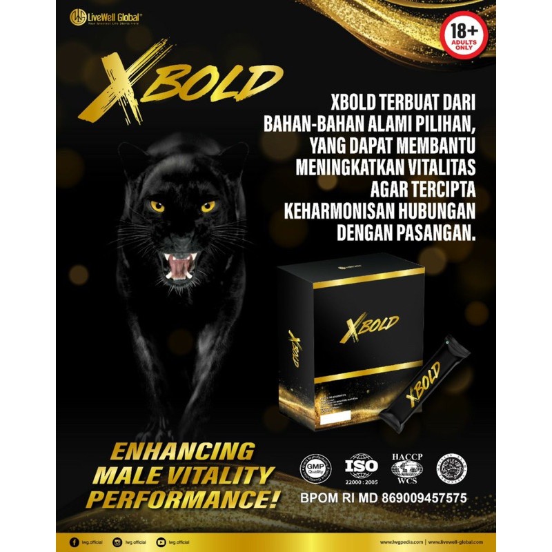 XBold