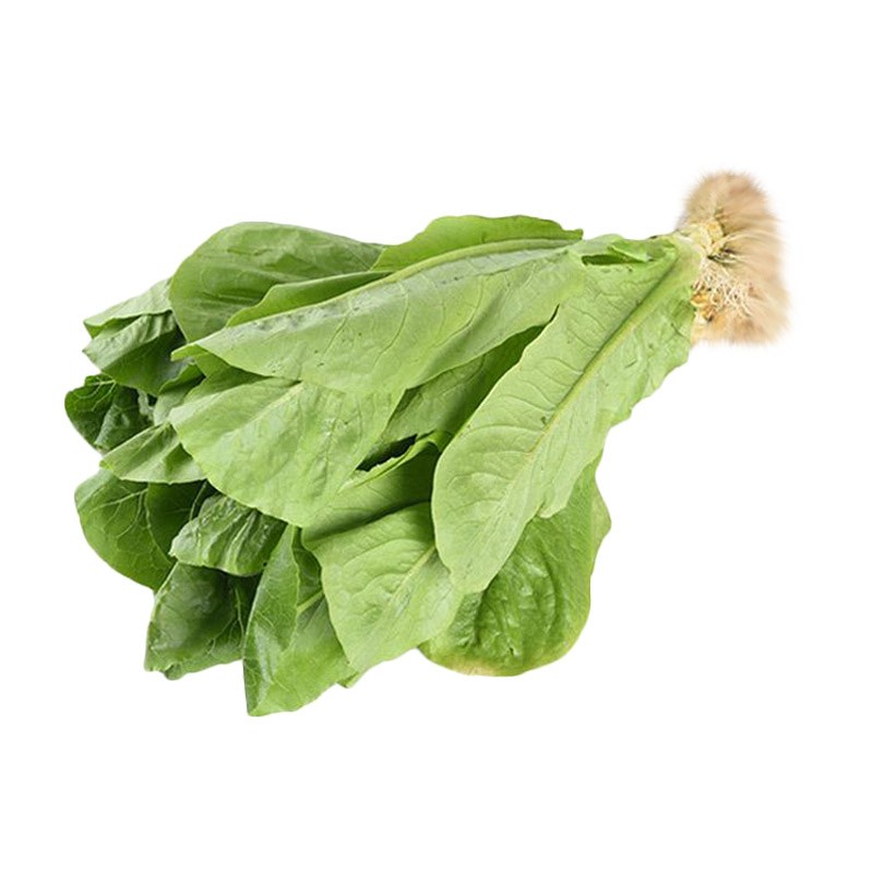 

SELADA ROMAINE Hidroponik 200 gr