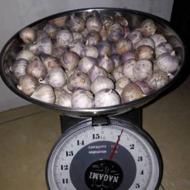 

Bawang putih tunggal/bawang lanang 1kg