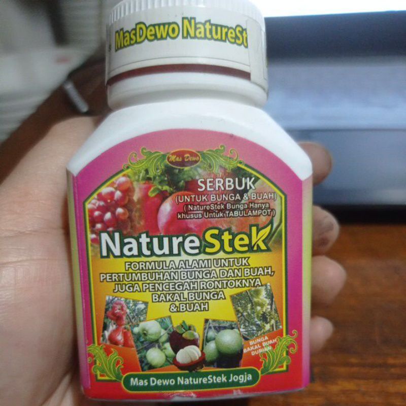 Nature Stek Bunga dan Buah