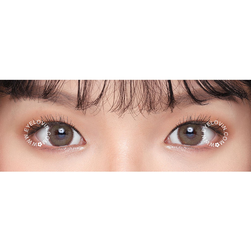 Softlens Dreamcolor I - Nobluk Brown