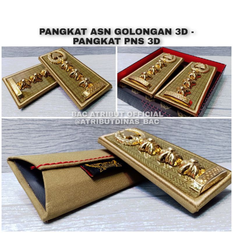 PANGKAT PNS ASN GOLONGAN 3D PREMIUM
