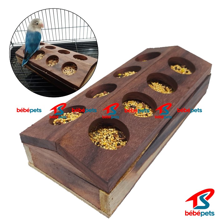 WADAH PAKAN KOLONI SANGKAR TERNAK BURUNG LOVEBIRD