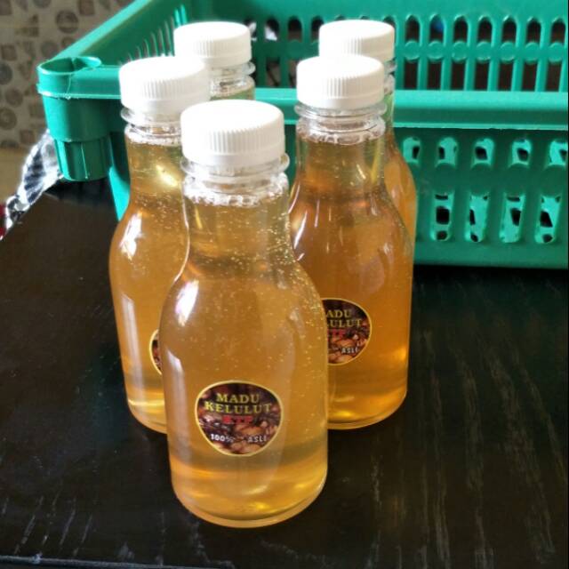 

Madu Kelulut Trigona