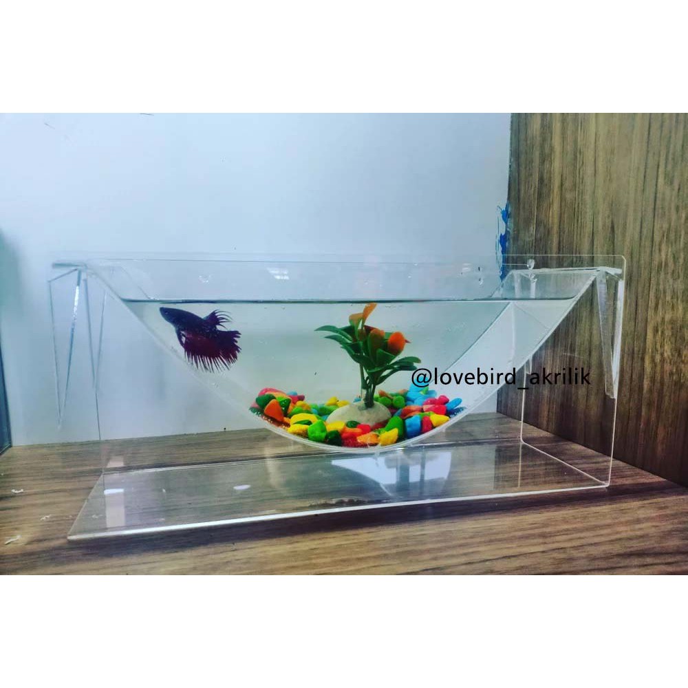 Aquarium Ikan Cupang Akrilik Acrylic Betta Fish Aquarium Akrilik Unik Aquarium Unik Betta Tank Shopee Indonesia