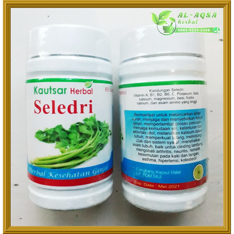

Kapsul Exstrak Seledri