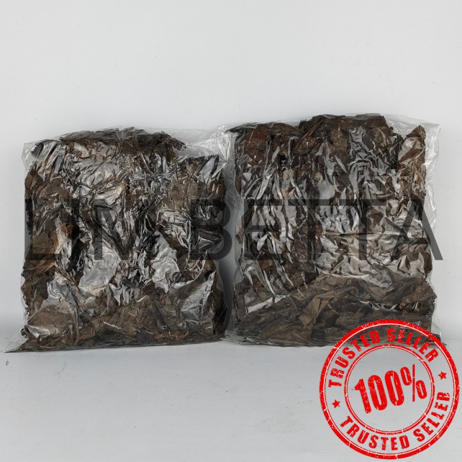 100 GRAM DAUN KETAPANG LAUT / DAUN KETAPANG LAUT ORIGINAL