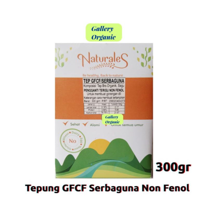 

Tepung Gluten Free | Tepung Pengganti Terigu | Tepung GFCF | Naturales