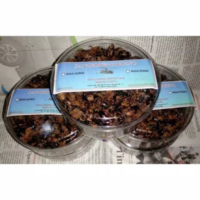 

Jangkrik makanan extrim extra pedas berbagai rasa