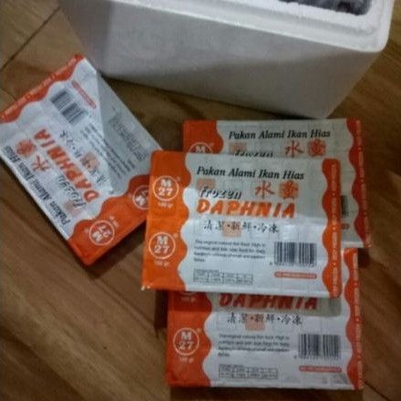 Frozen daphnia m27/kutu air beku pakan ikan hias