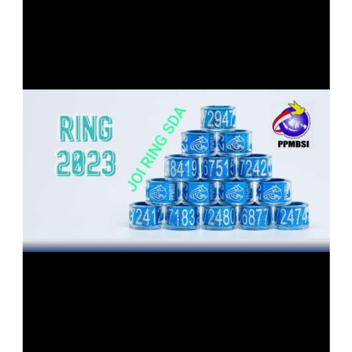 Ring Burung Merpati Balap Ring PPMBSI 2025 dan ring Jatim 2025 Ori | Cincin burung