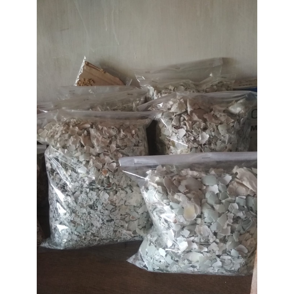 

Cangkang bebek hancur 500 gram