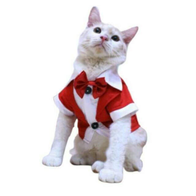 Tuxedo biru atau merah untuk kucing dan anjing size S M L XL / baju kucing murah 2019