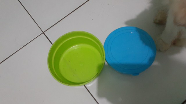 Tempat Makan Anak Tk Paud Dora S / Souvenir Ulang Tahun