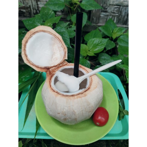 

Puding Kelapa Joget