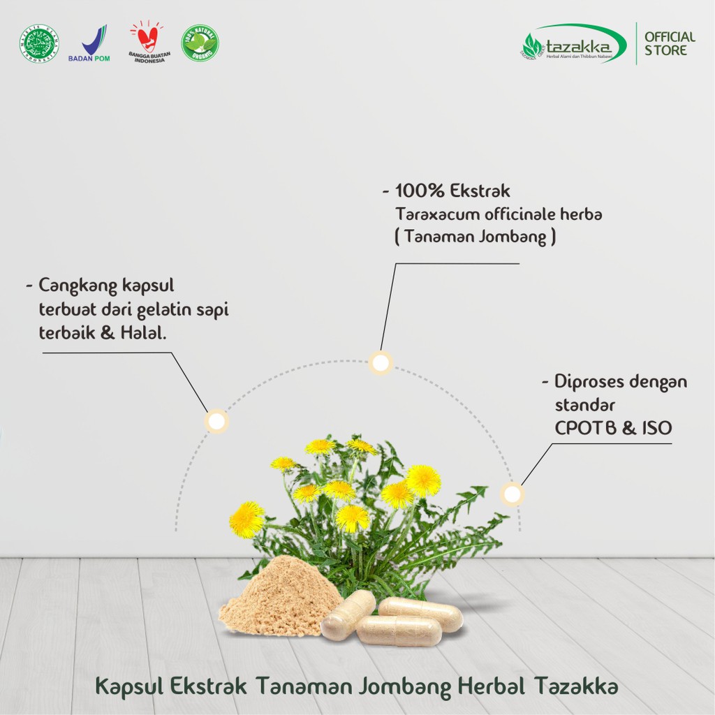 Obat Batuk | Obat Herbal | Obat Disentri DAUN JOMBANG Tazakka isi 60 Kapsul HALAL BPOM ORIGINAL