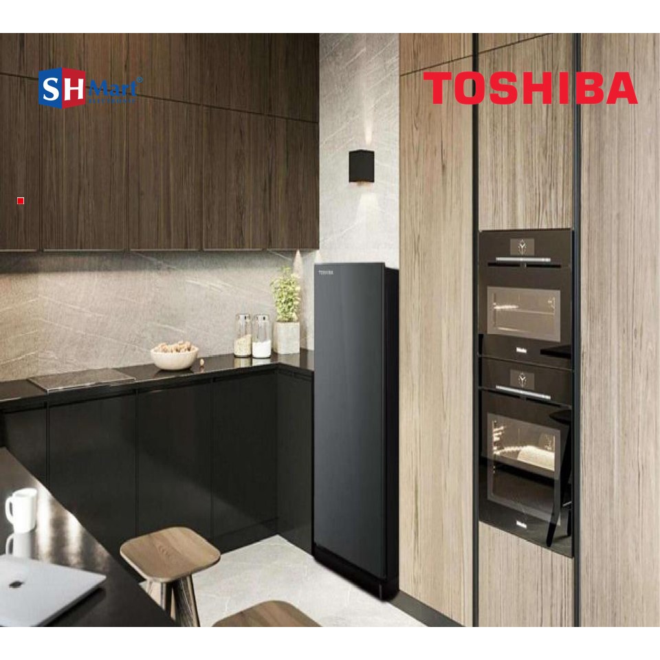 TOSHIBA KULKAS 1 PINTU GR-RD235CC-DMF GARANSI 5 THN (MEDAN)
