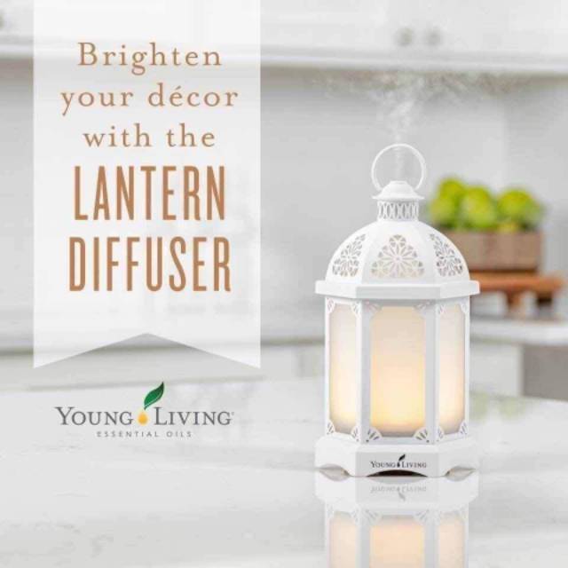 Young Living Lantern Diffuser Free Membership Free Ongkir