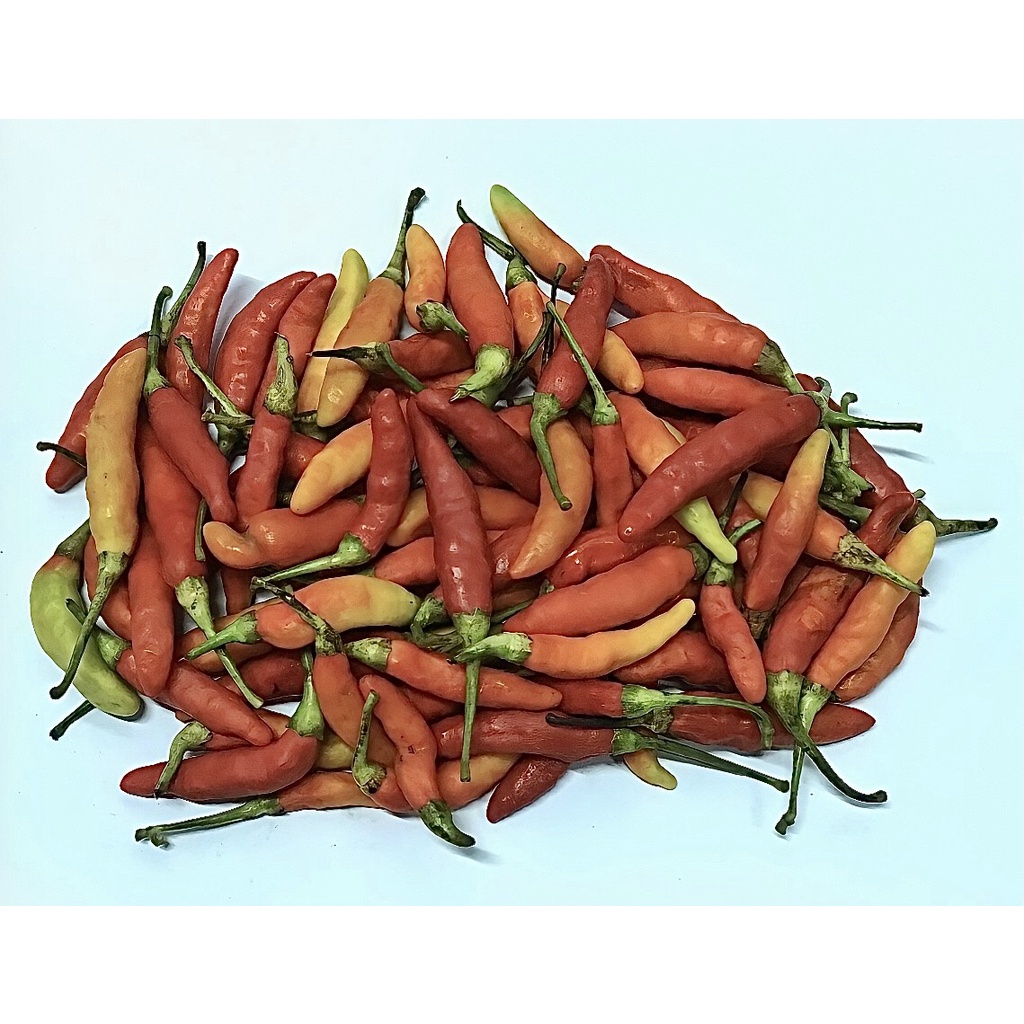 

My Fruit Vege Surabaya - Cabe Rawit Merah [200gr]