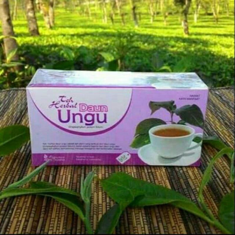 

TEH DAUN UNGU OBATI AMBEIYEN,WASIR / BERKASIAT OBATI AMBEIYEN RINGAN ,SEDANG & BERAT/ BERIJIN BPOM // berkwalitas isi 20 kantong