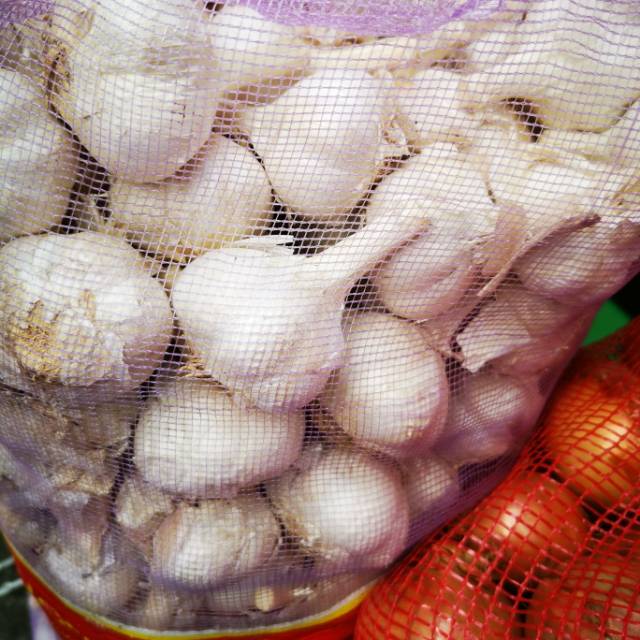 

Bawang kating / kating kotor