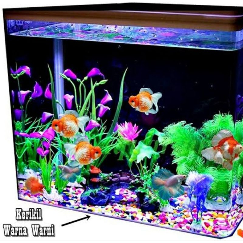 Batu Warna Warni Aquarium / Batu Taiwan ISI 250gram - Batu Hias Tanaman Pot / Hiasan aquarium