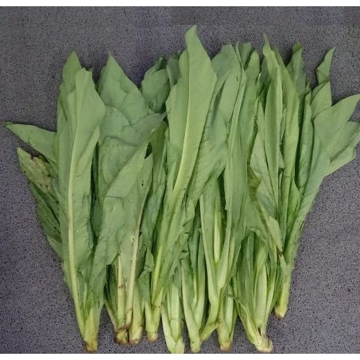 

TERMURAH 250gr Sayur Fumak Segar Fresh Kumak Kumek Makanan Kura Darat