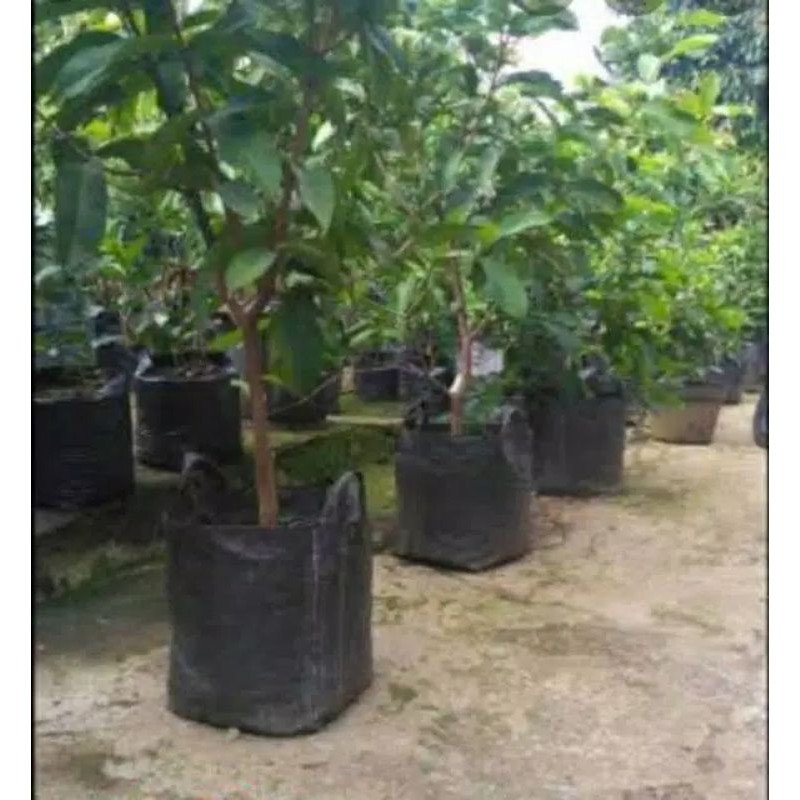 RPM Planter Bag 100 Liter / planterbag / pot tanaman / mirip easy grow