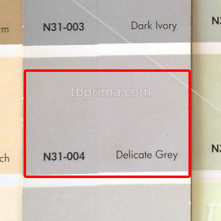 No Drop Tinting N31-004 Delicate Grey 1 kg