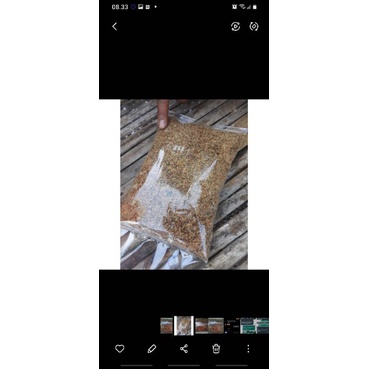 

bawang goreng remesan grade A