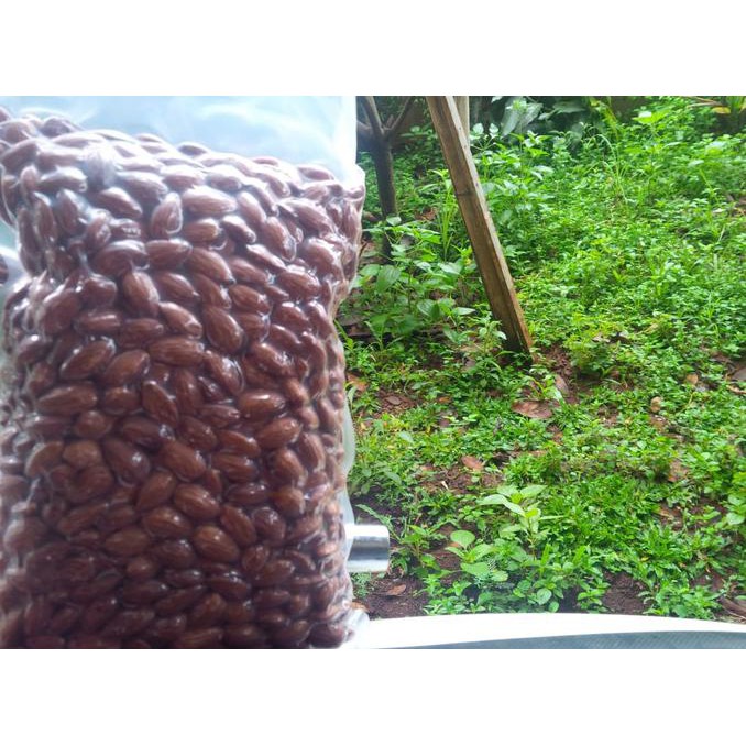 

Hot Promo!! Kacang Almond Tanpa Kulit Roasted Matang Blue Diamond