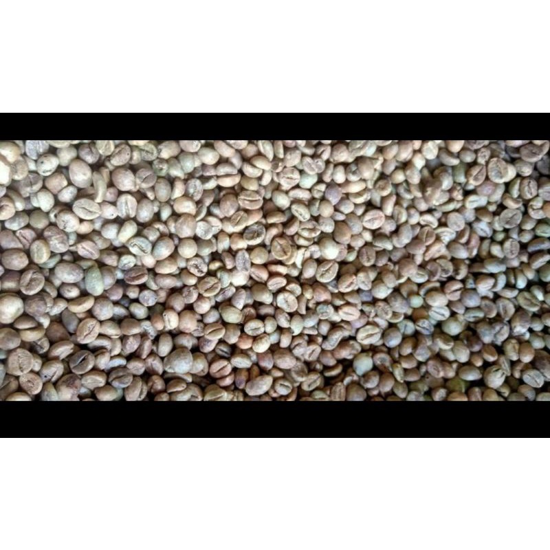 

Kopi greenbean Robusta Gayo, Indonesia