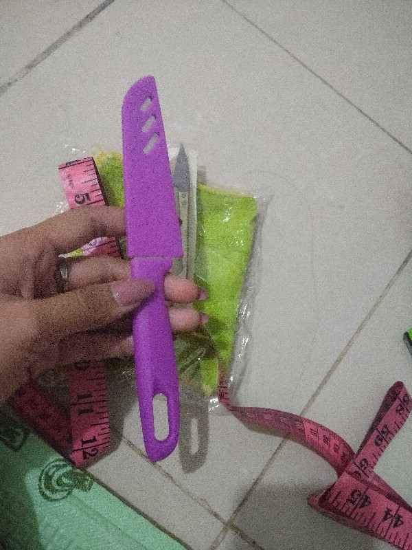 Pisau Buah 20cm Stainless Steel Termurah Tajam Stainless Steel Pemotong Kupas Makanan Dapur Warna