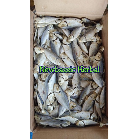 

ikan asin selar rebus lampung paket 500 gram