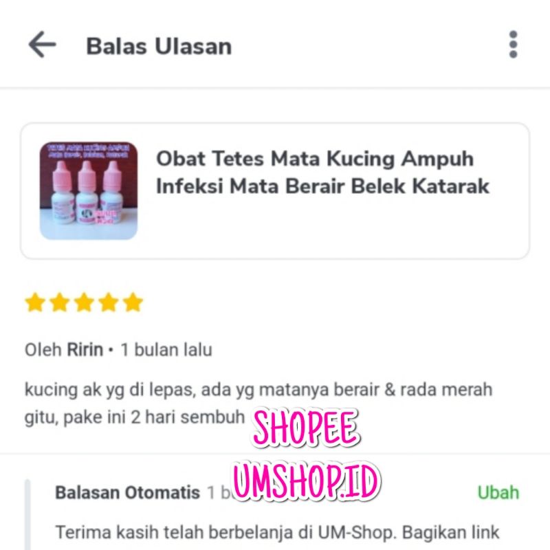 Obat Tetes Mata Kucing Ampuh Infeksi Mata Berair Belek Katarak Rabun