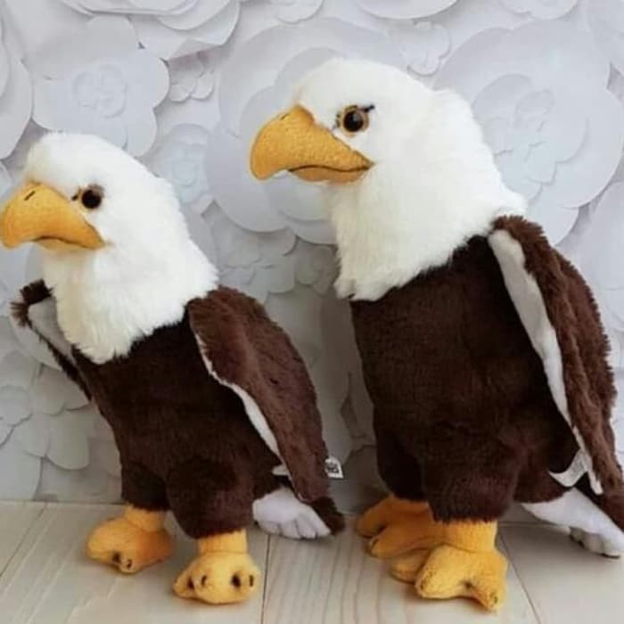 barokah boneka burung elang 4