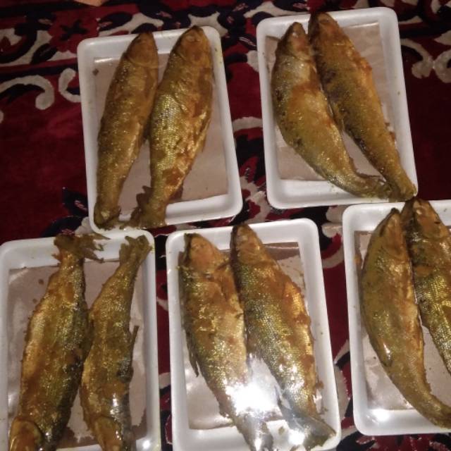 

Ikan bandeng preston9