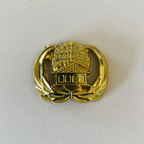 pin korpri