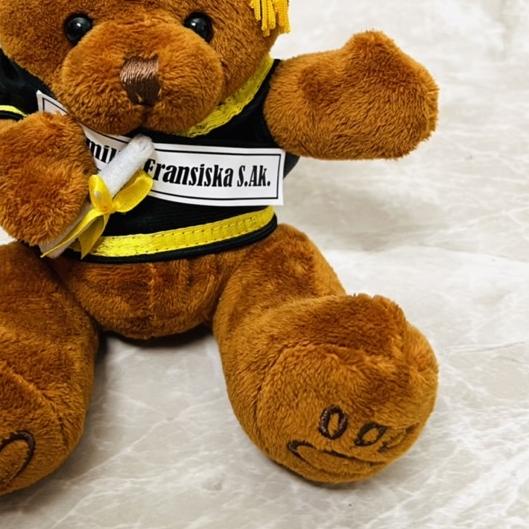 ○  Boneka Wisuda / Boneka Wisuda Beruang / Hadiah Wisuda / Hadiah Graduation ♩
