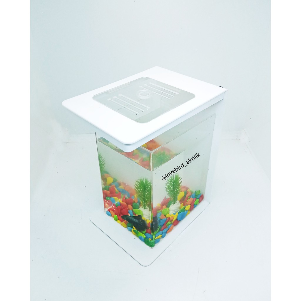 READY!!! Betta Fish Tank, Aquarium Mini Akrilik, Mini Aquascape, Akuarium cupang, Akuarium mini