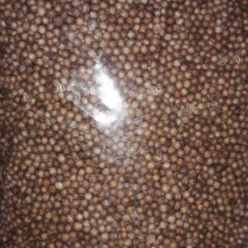 

ketumbar murni kemasan 100 gr|obat herbal|menyehatkan jantung