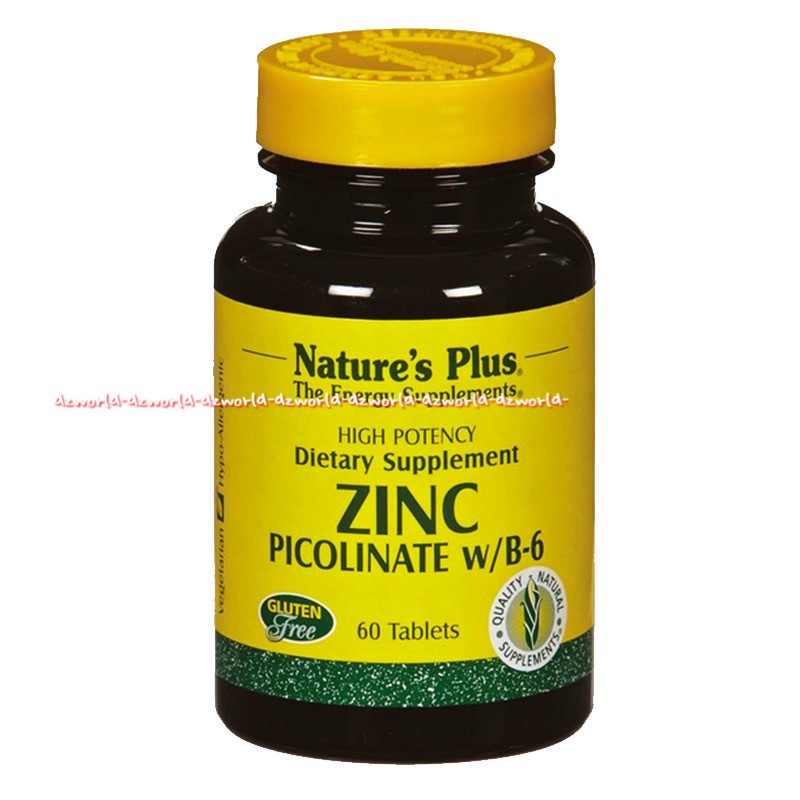 Natures Plus Zinc Picolinate 60tablet Vitamin B6 Untuk Daya Tahan Tubuh Nature's