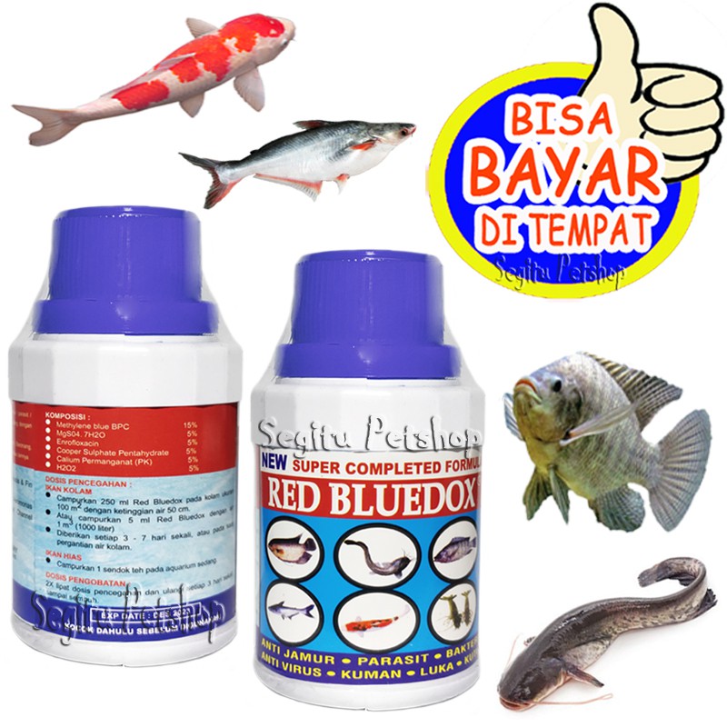 OBAT IKAN PENGHILANG JAMUR KORENG ANTI VIRUS MAS GURAME MUJAER BAWAL PATIN LELE RED BLUEDOX