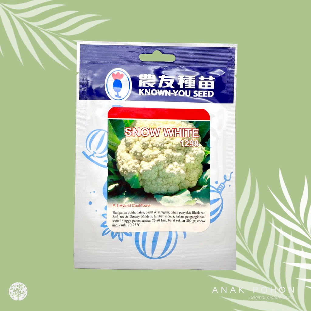 (1 PACK) Benih Kembang Kol Snow White F1 Hibrida Sayur Bunga Kol Putih - Known You Seed KYS - 10 GRAM