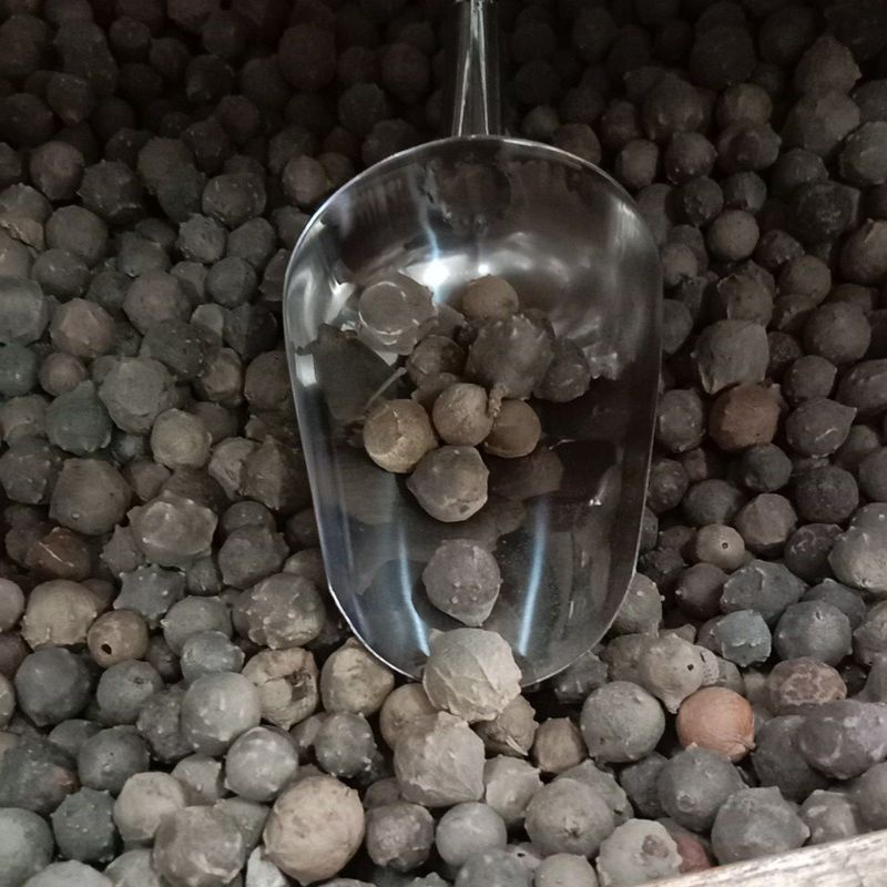 Buah Majakan || Majakani || Sari Rapet